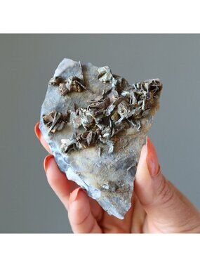 Chalcopyrite Cluster Golden Luster Peacock Ore Raw Mineral Crystal 3.5 inch